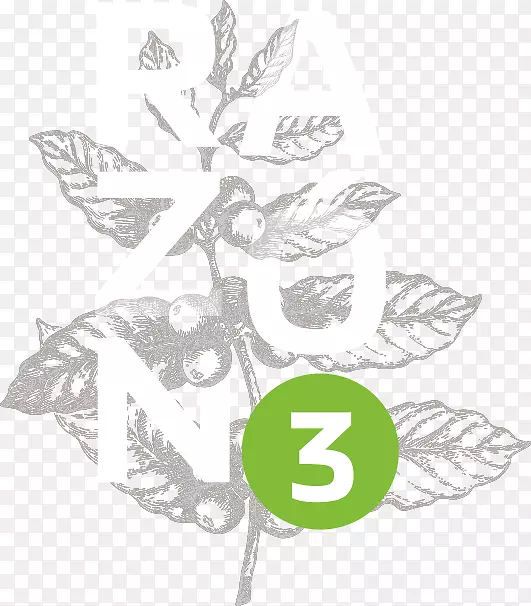 Сֲ֦�ﾥ����ֲ��ҶƬ������-������