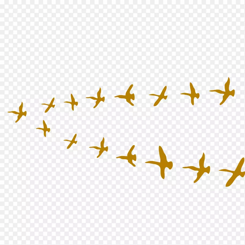 ��Ⱥ����Ⱥ-������