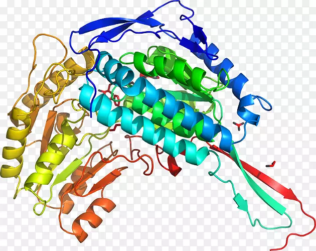 ���������л����߼�������-������