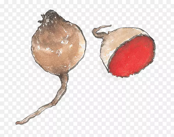 �����߲˼�����.�ֻ����-������