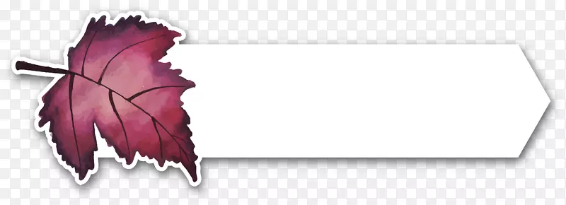 ��Ҷ��ɫˮ�ʷ�Ҷ-������