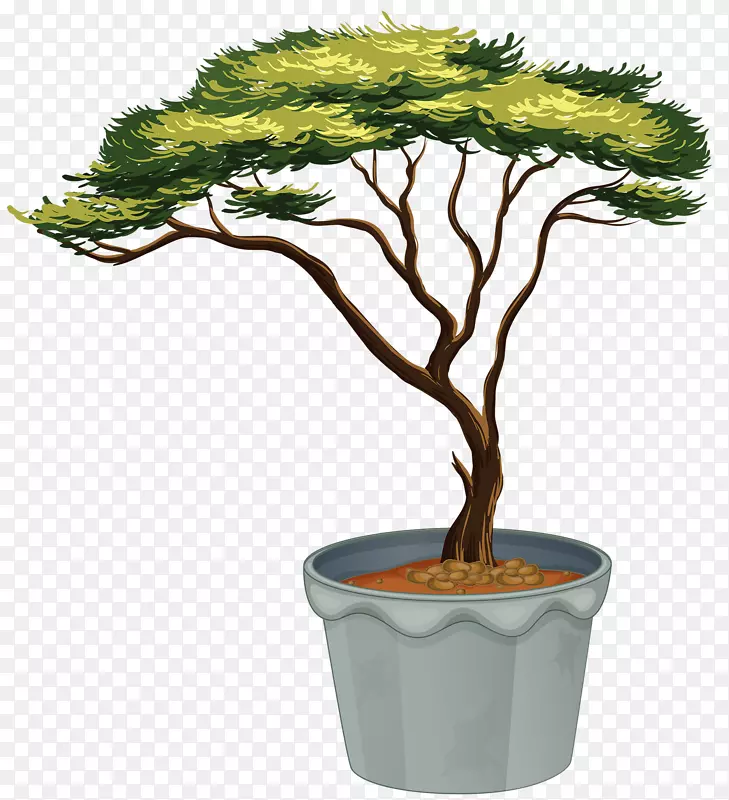 �����Ӱ���Ʋ�ͼ.����ֲ��-������