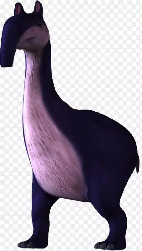 Ȯ�Ǿ�����Ȯ-������