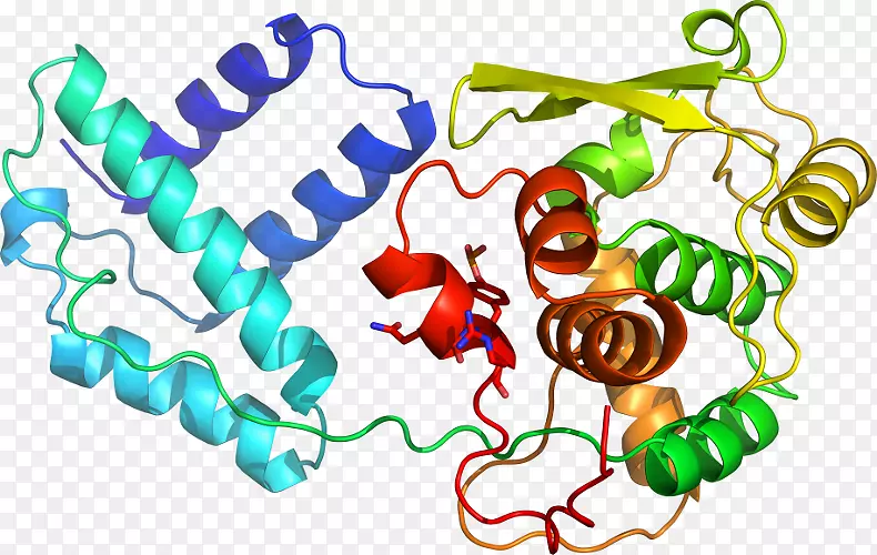 ���������л����߼�������-������