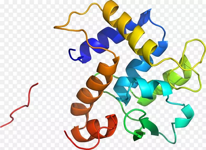 ������Ϊ�л�����������-������