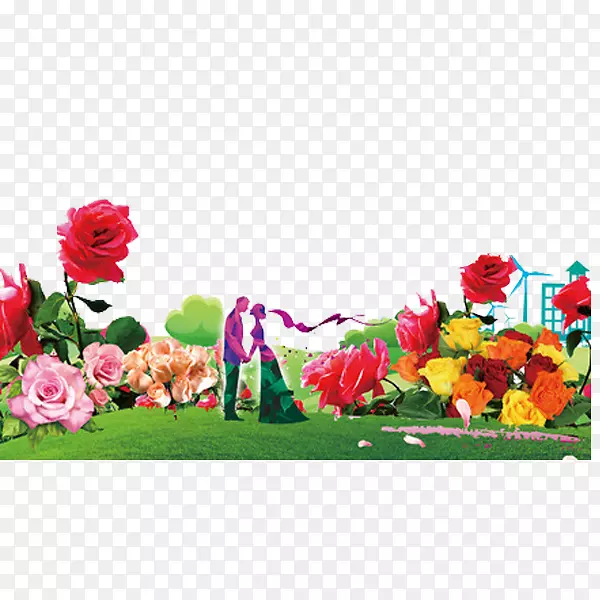 �������-���۵�����-������