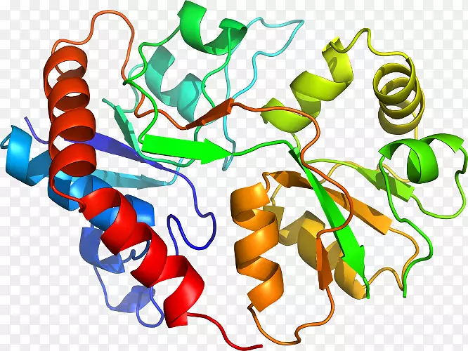 �ߵ������������-������