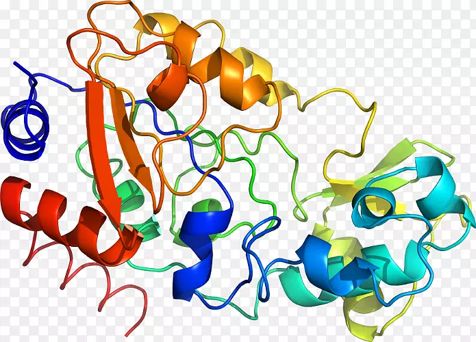 ���������л����߼�������-������