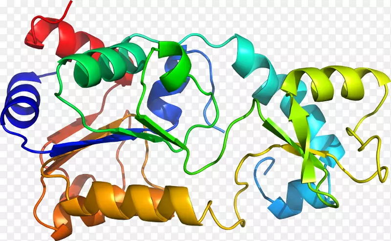 ���߼�����-��-������