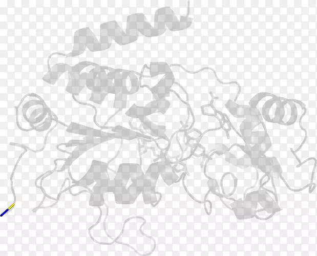 ��ɫ�������-������