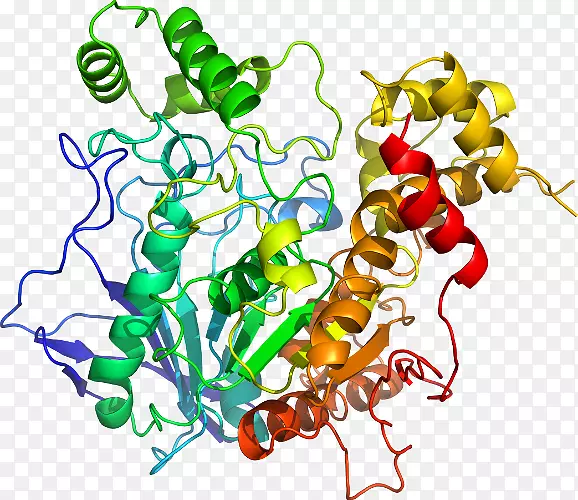 ���������л����߼�������-������