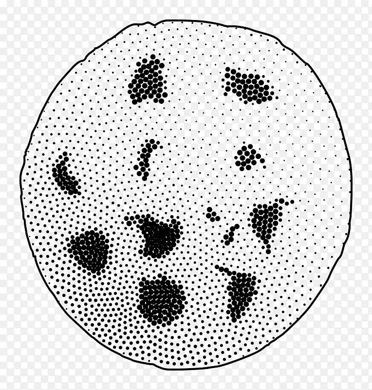 ��������Etsy��ǩ�ɿ���оƬ-������