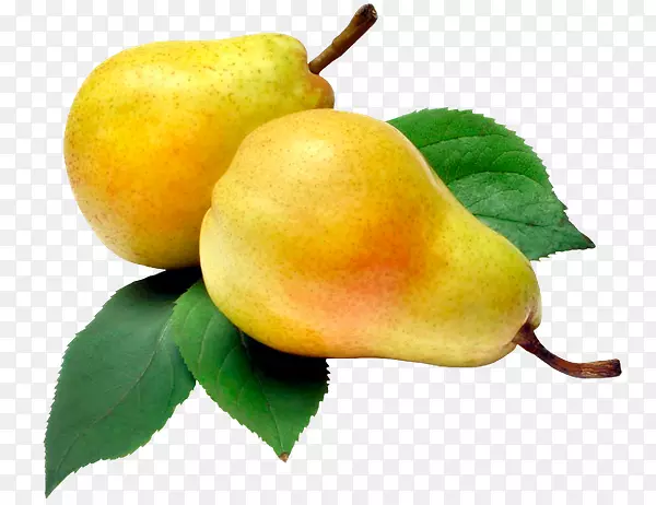 �׿��ǡ�����˹���¼�ˮ���߲�-������