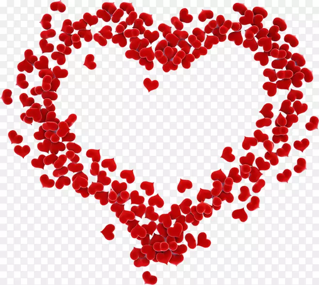 ���˽�2��14�հ����������θ���-������