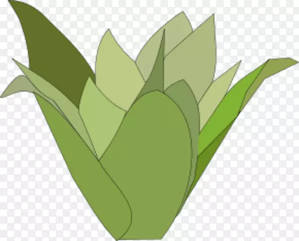 ����ͼ�������-������