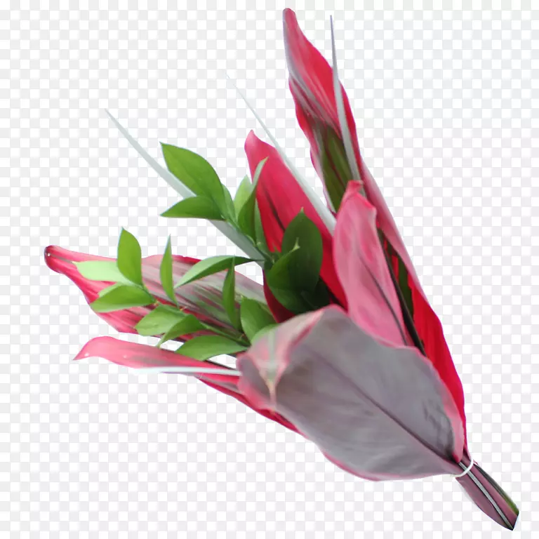 ���ױ����л�Ҷ����-������