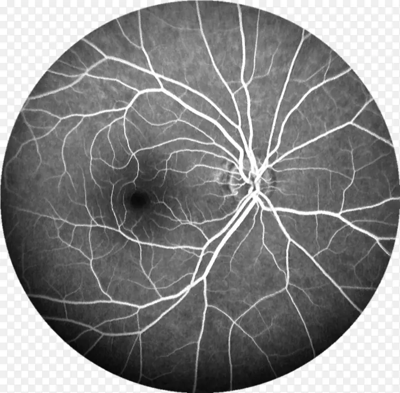 ��ɫͼ��-������