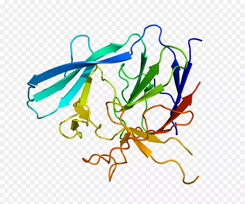 �ߵ������������-������