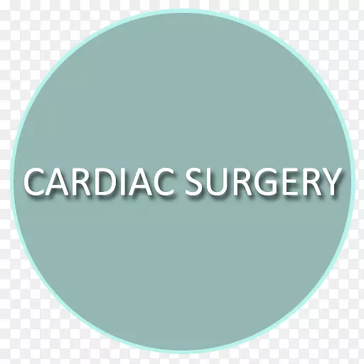 �̱�����-�������-������