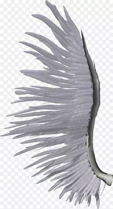 ���׼�����-�����ó��-������