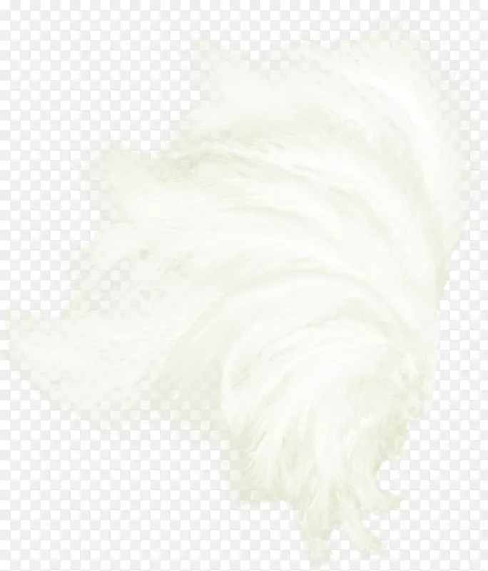 ëƤ֯��ͼ��-������װ�γ��-������