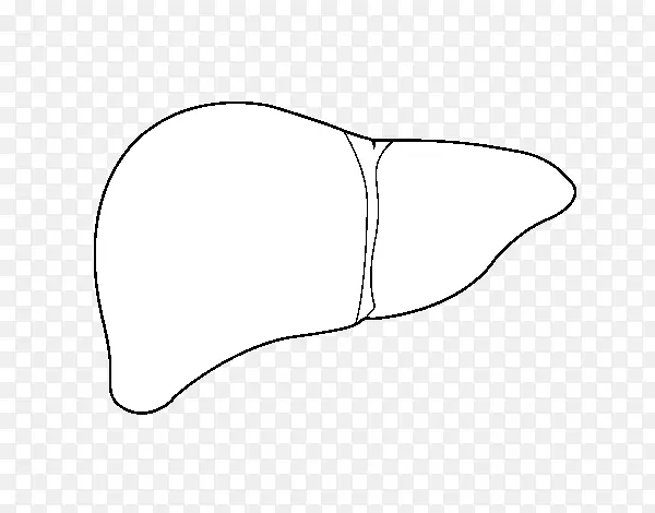 ��ָ����������-�˸�-������