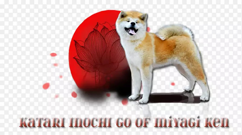 Ȯ��ʯ��Ȯ�������-����Ȯ-������