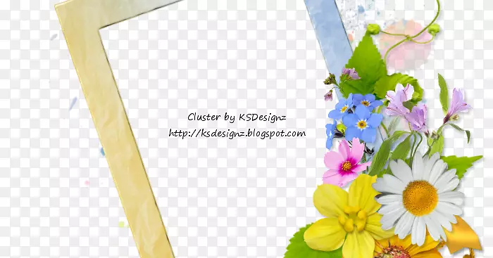 ������ƻ����л���������-������