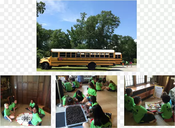 ������ľ���ֳ���-�����Ҳ����-������