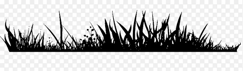 ����-��Ѻڲ�-������