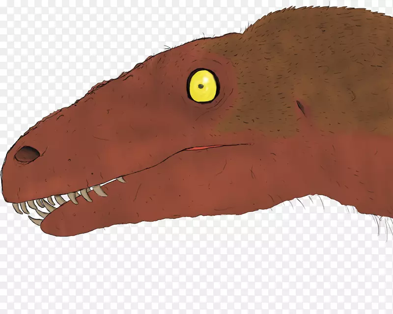 ���ж���������Ӻ���-����-������