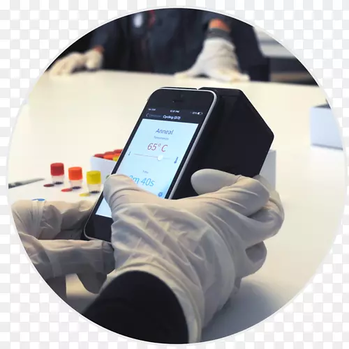 �����ƶ��绰.����ת��-������