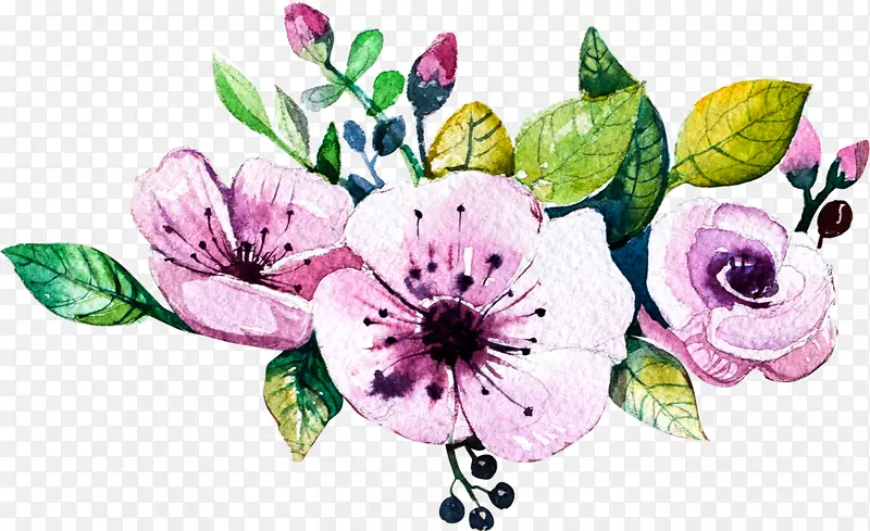 �������뺯ˮ�ʻ��������ˮ�ʻ�����-������