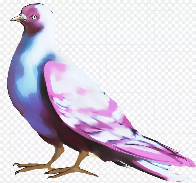 ����±���-������