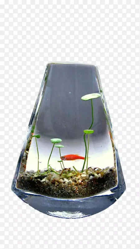 ˮ��Ӳ�Ҳ�-������