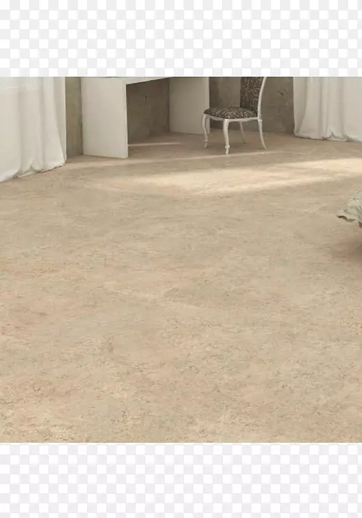 ������שľ�ذ�.����ש-������