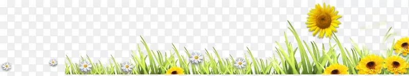 ����������Ʊ�ֽ���տ�����-������