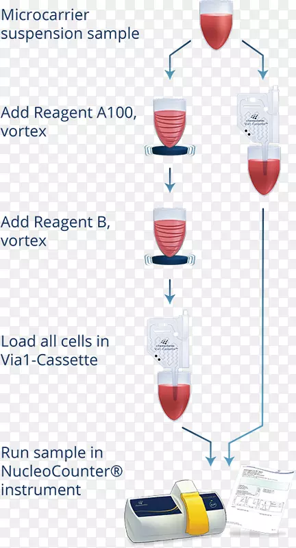 ��״����ϸ������-������