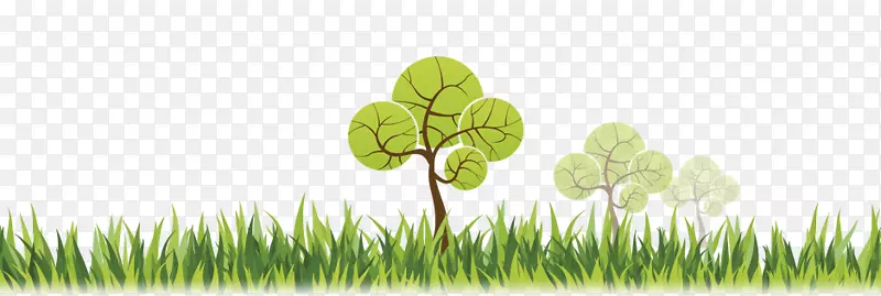 �����ֽ��ֲ������ֲ�ﾥ-Selva-������