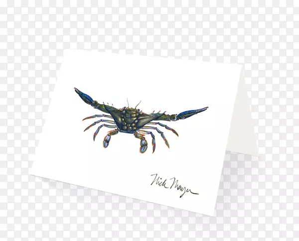 �������2M�������ͷɶ�-зצ-������