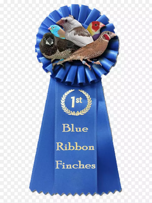 �ν�ĸ����ͥ��ë���а���ȸ-������