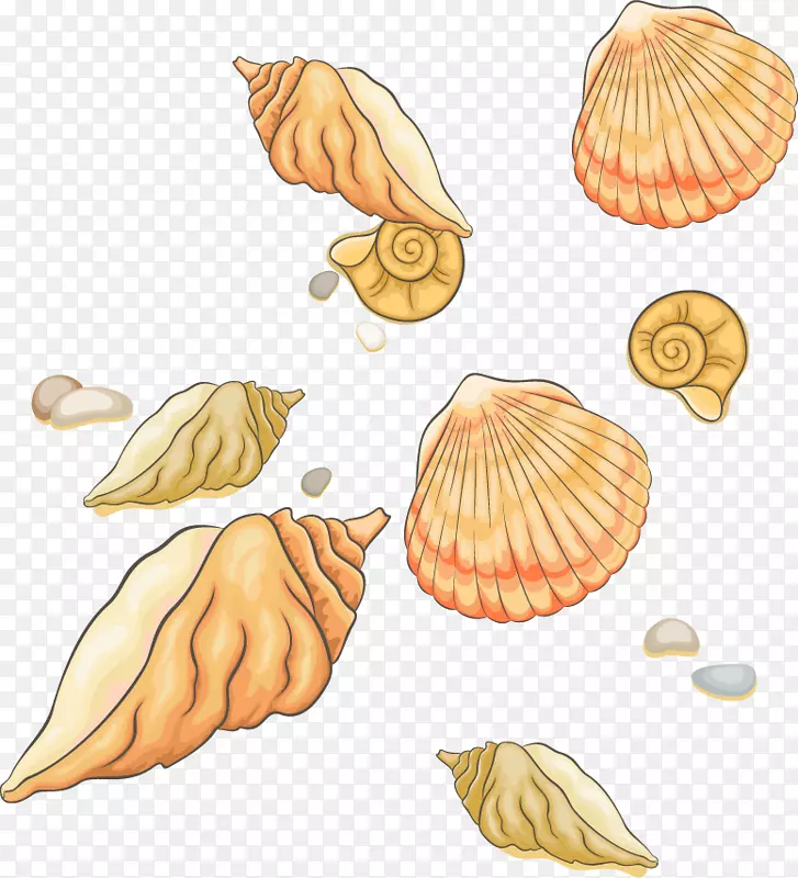 ���Ǽ�����-��PNG�ǲ���-������