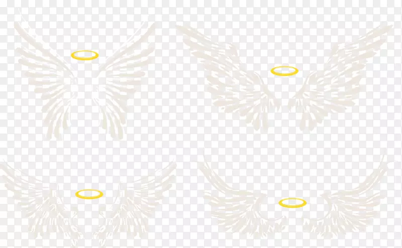 ֽͼ��.��ͨ���-������