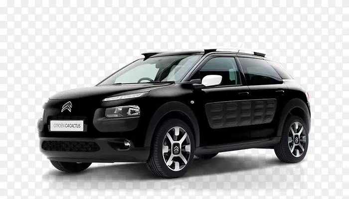 �˶��Ͷ๦�ܳ��������ͳ��нγ������ͽγ�-ѩ����c4-������