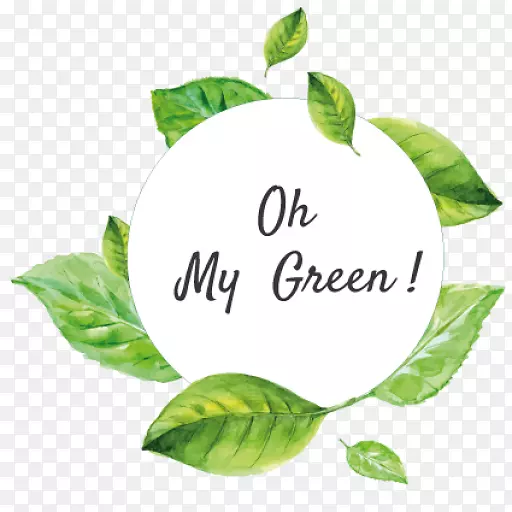 Ҷ������-��«��-������