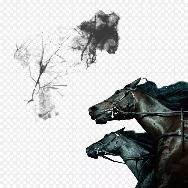 �ֻ���׿-������-������