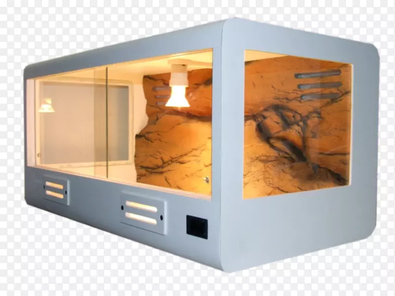 ���Ӷ�ý��-������