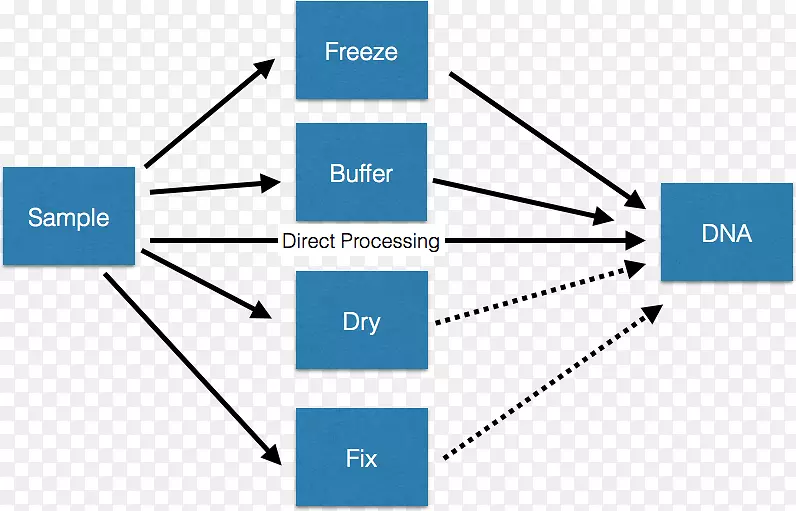 ������Һ��ѧdna������ѧ.��ѧ-������