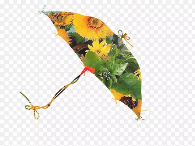 ����Ҷ-������