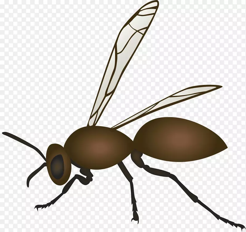 �۷��ѧũҵ�о�-�۷�-������